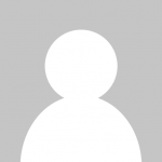 Style Guides and Asset Libraries