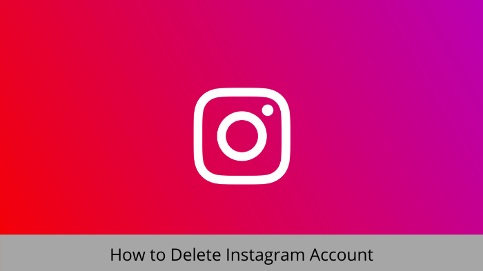 چگونه-حذف-اینستاگرام-حساب "عرض =" 700 "ارتفاع =" 393 "srcset =" "data-srcset =" https://144839-418331-2-raikfcquaxqncofqfm.stackpathdns.com/wp- محتوا / آپلودها / 2019/01 / نحوه حذف-instagram-account-1.png 700w ، https://144839-418331-2-raikfcquaxqncofqfm.stackpathdns.com/wp-content/uploads/2019/01/how -to-Delete-instagram-account-1-300x168.png 300w "size =" (حداکثر عرض: 700px) 100vw ، 700px "/> </p>
<p><noscript><img class=