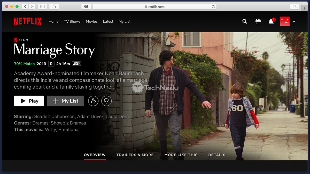 Netflix Synopsis Story Marriage